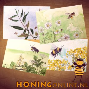Wens Kaarten Set Honing Bijen