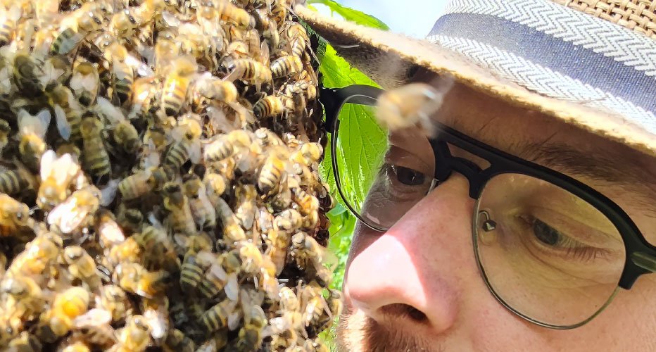 Op deze afbeelding zie je hoe honing van de imker gemaakt wordt. Zonder bijen kan geen bijenhoning kopen.