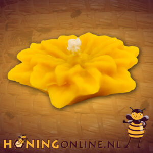 Drijfkaars van bijenwas kopen doe je bij de imker. Bijenwaskaarsen zijn zeer geschikt om brandend te laten drijven.